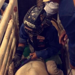 Meet your Posher, Noah